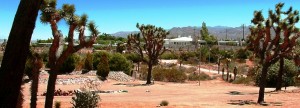 jtrccampitheatre