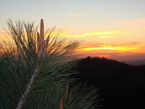 Sunset from Julian Inn