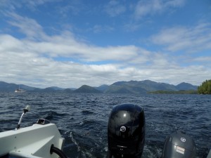 saw Orcas on the way...